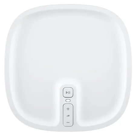 Колонка Koralia